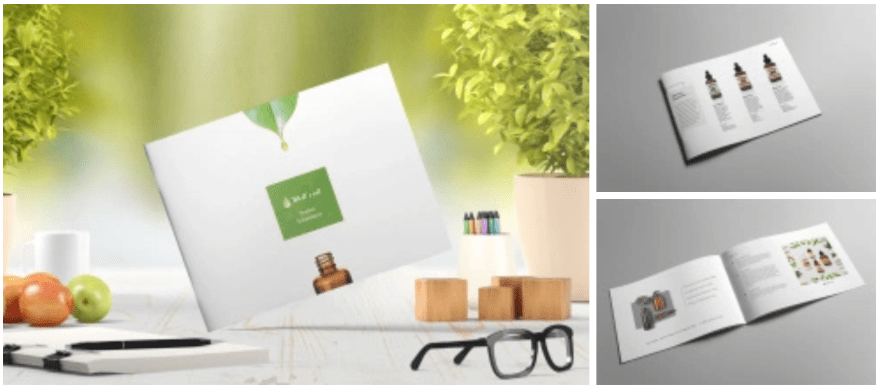 Screen Shot 2019-06-28 at 2.48.41 AM.png